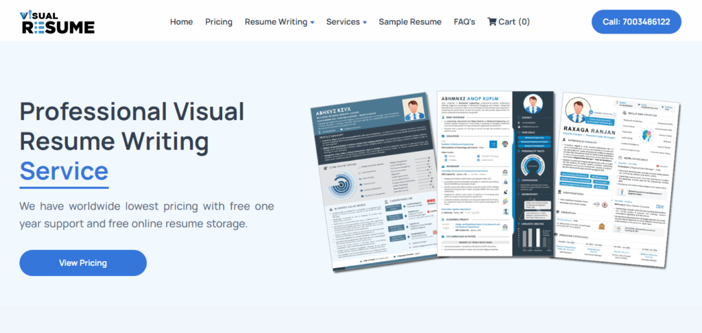 Cfo Resume Writing Services Visual Resume